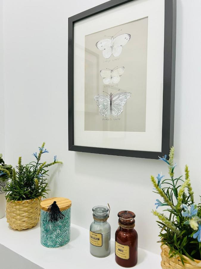Magnifique Appartement L'Aigrette ディエップ エクステリア 写真